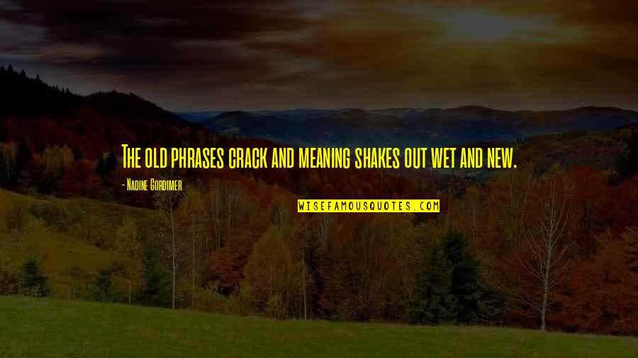 Old Phrases And Quotes By Nadine Gordimer: The old phrases crack and meaning shakes out