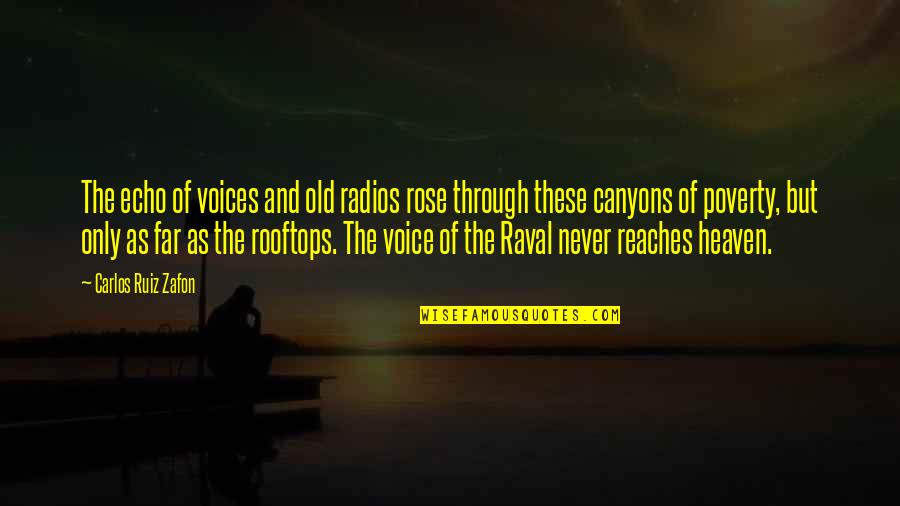 Old Rose Quotes By Carlos Ruiz Zafon: The echo of voices and old radios rose