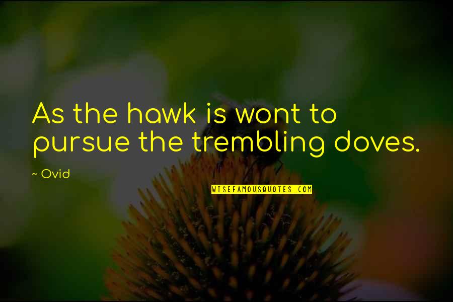 Old Samoan Quotes By Ovid: As the hawk is wont to pursue the