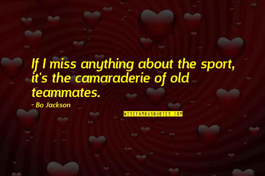 Old Sport Quotes By Bo Jackson: If I miss anything about the sport, it's