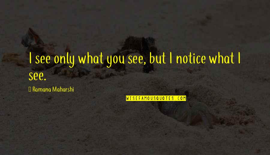 Old Term Quotes By Ramana Maharshi: I see only what you see, but I