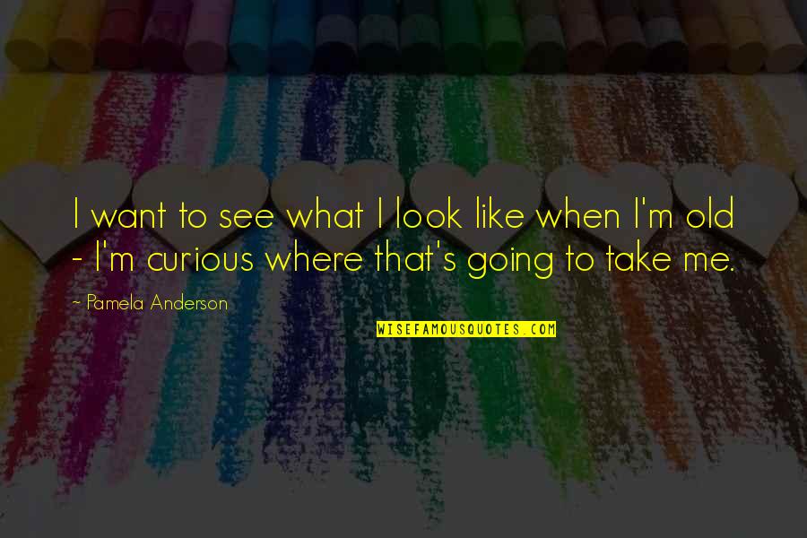 Old That Look Quotes By Pamela Anderson: I want to see what I look like Old That Look Quotes By Pamela Anderson: I want to see what I look like