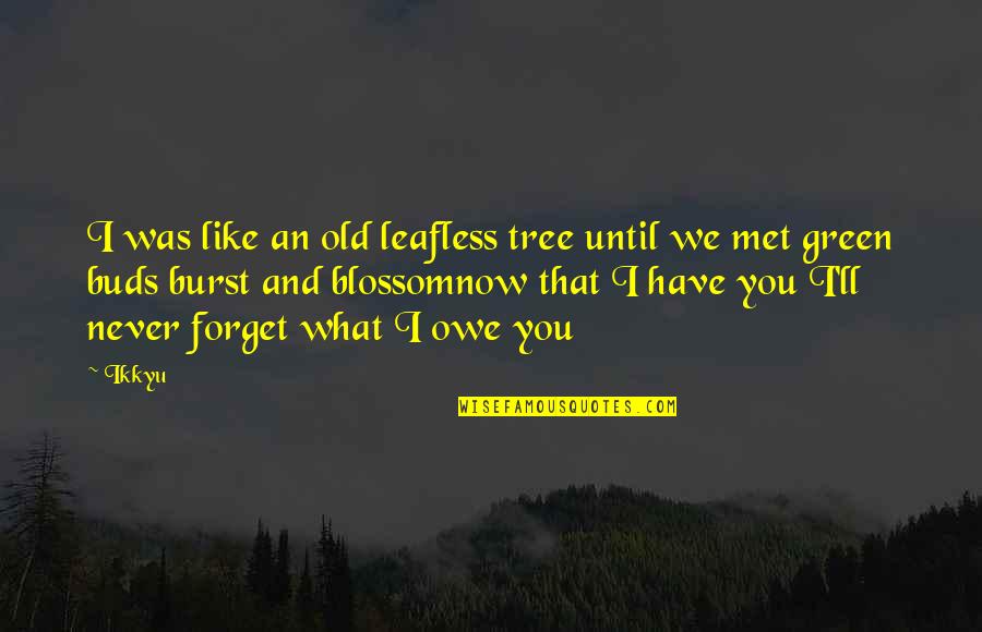 Old That Quotes By Ikkyu: I was like an old leafless tree until Old That Quotes By Ikkyu: I was like an old leafless tree until