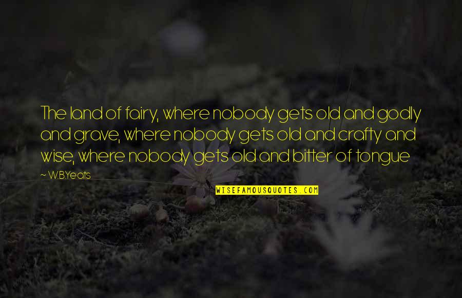 Old Tongue Quotes By W.B.Yeats: The land of fairy, where nobody gets old Old Tongue Quotes By W.B.Yeats: The land of fairy, where nobody gets old