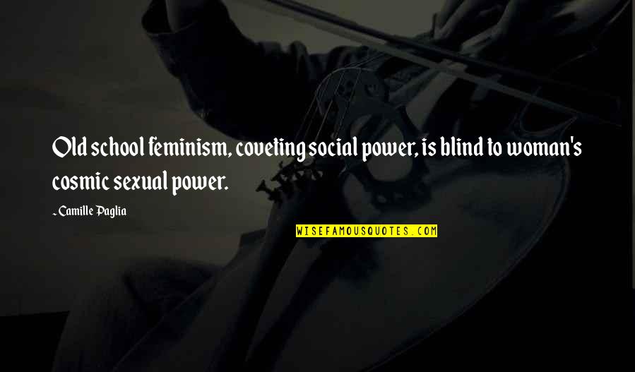 Old Woman Quotes By Camille Paglia: Old school feminism, coveting social power, is blind