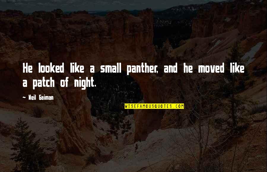 Olden English Quotes By Neil Gaiman: He looked like a small panther, and he