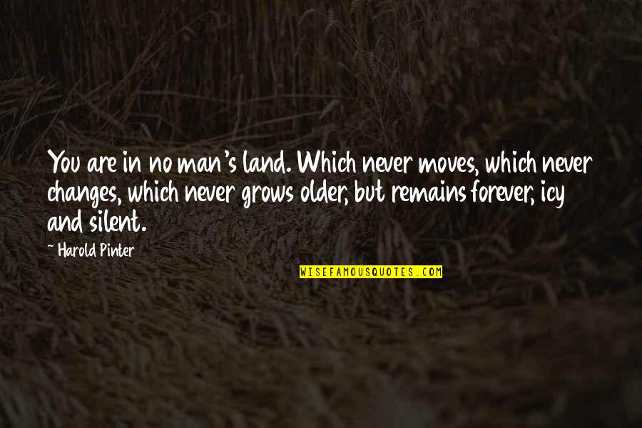 Older Man Quotes By Harold Pinter: You are in no man's land. Which never