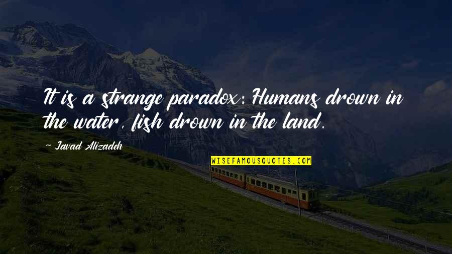 Oldies Lyrics Quotes By Javad Alizadeh: It is a strange paradox: Humans drown in