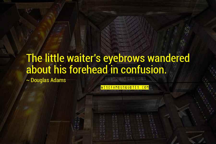 Oleaginous Pronunciation Quotes By Douglas Adams: The little waiter's eyebrows wandered about his forehead