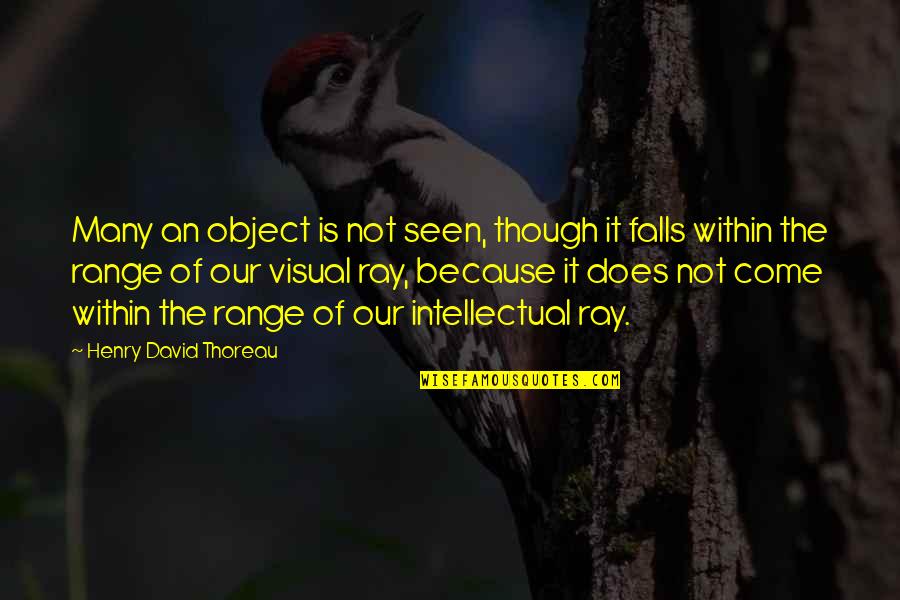 Oleg Vidov Quotes By Henry David Thoreau: Many an object is not seen, though it