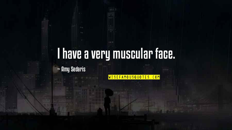 Olgeirsson Quotes By Amy Sedaris: I have a very muscular face.