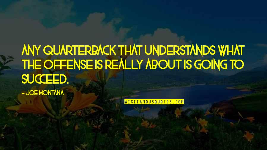 Olgierd Prince Quotes By Joe Montana: Any quarterback that understands what the offense is