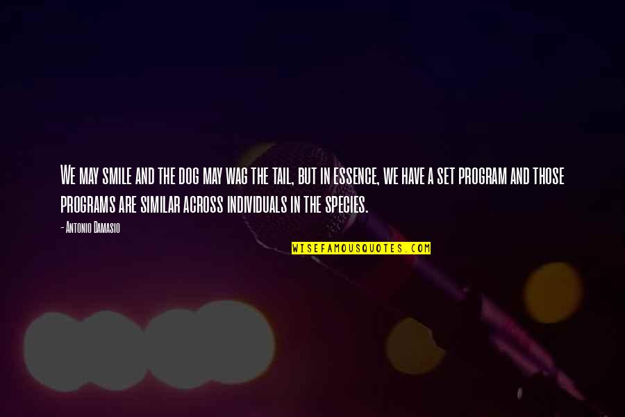 Olike Speaker Quotes By Antonio Damasio: We may smile and the dog may wag Olike Speaker Quotes By Antonio Damasio: We may smile and the dog may wag