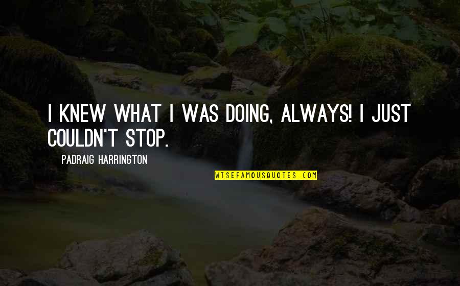 Oliver And Company Francis Quotes By Padraig Harrington: I knew what I was doing, always! I Oliver And Company Francis Quotes By Padraig Harrington: I knew what I was doing, always! I