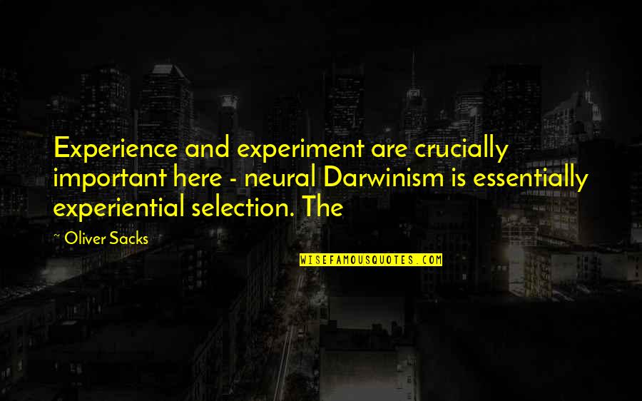 Oliver Quotes By Oliver Sacks: Experience and experiment are crucially important here - Oliver Quotes By Oliver Sacks: Experience and experiment are crucially important here -