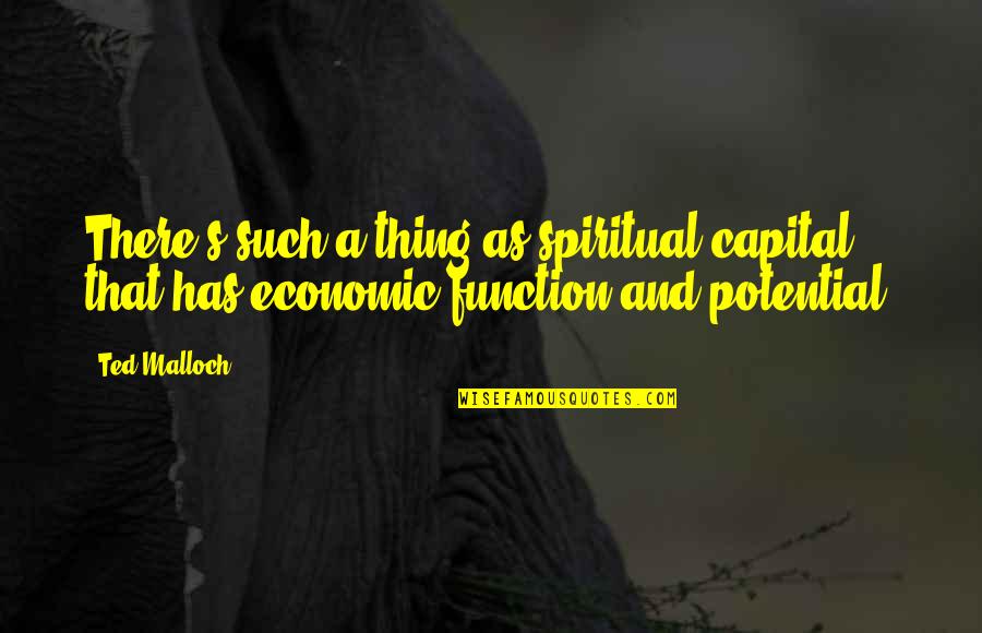 Oliver Warbucks Quotes By Ted Malloch: There's such a thing as spiritual capital that