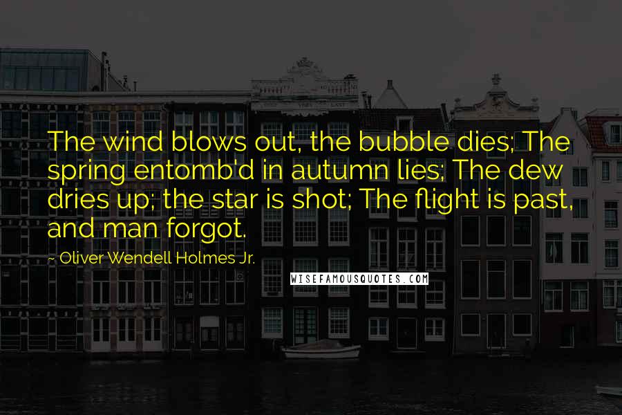 Oliver Wendell Holmes Jr. quotes: The wind blows out, the bubble dies; The spring entomb'd in autumn lies; The dew dries up; the star is shot; The flight is past, and man forgot. Oliver Wendell Holmes Jr. quotes: The wind blows out, the bubble dies; The spring entomb'd in autumn lies; The dew dries up; the star is shot; The flight is past, and man forgot.