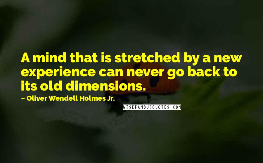 Oliver Wendell Holmes Jr. quotes: A mind that is stretched by a new experience can never go back to its old dimensions.