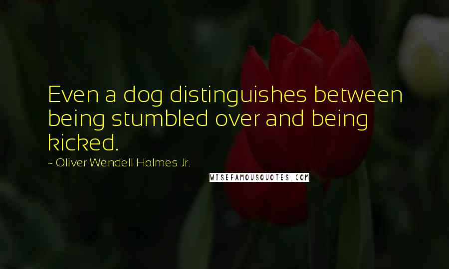 Oliver Wendell Holmes Jr. quotes: Even a dog distinguishes between being stumbled over and being kicked.