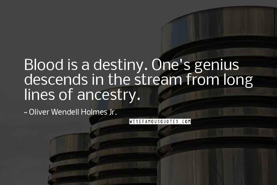 Oliver Wendell Holmes Jr. quotes: Blood is a destiny. One's genius descends in the stream from long lines of ancestry.