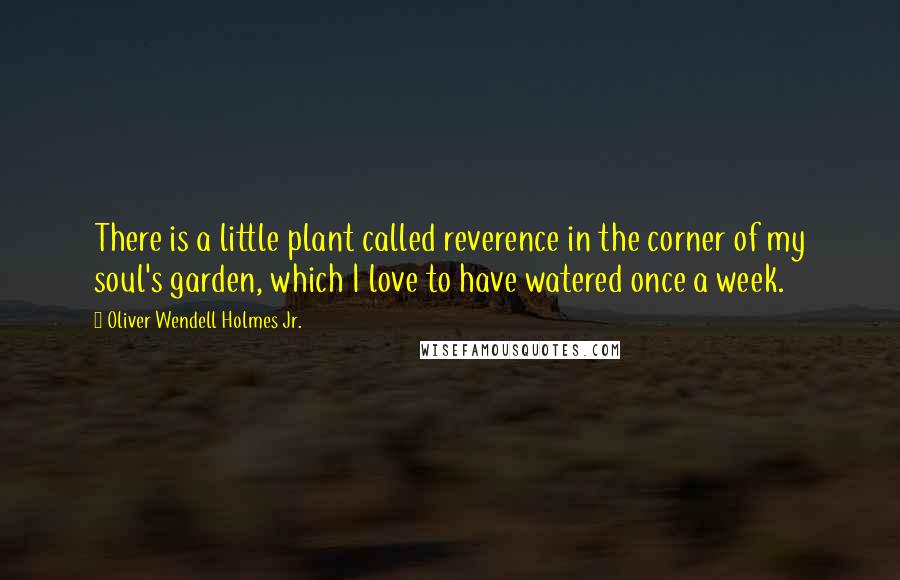 Oliver Wendell Holmes Jr. quotes: There is a little plant called reverence in the corner of my soul's garden, which I love to have watered once a week. Oliver Wendell Holmes Jr. quotes: There is a little plant called reverence in the corner of my soul's garden, which I love to have watered once a week.