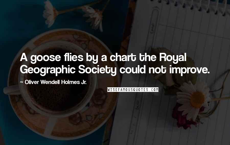 Oliver Wendell Holmes Jr. quotes: A goose flies by a chart the Royal Geographic Society could not improve.