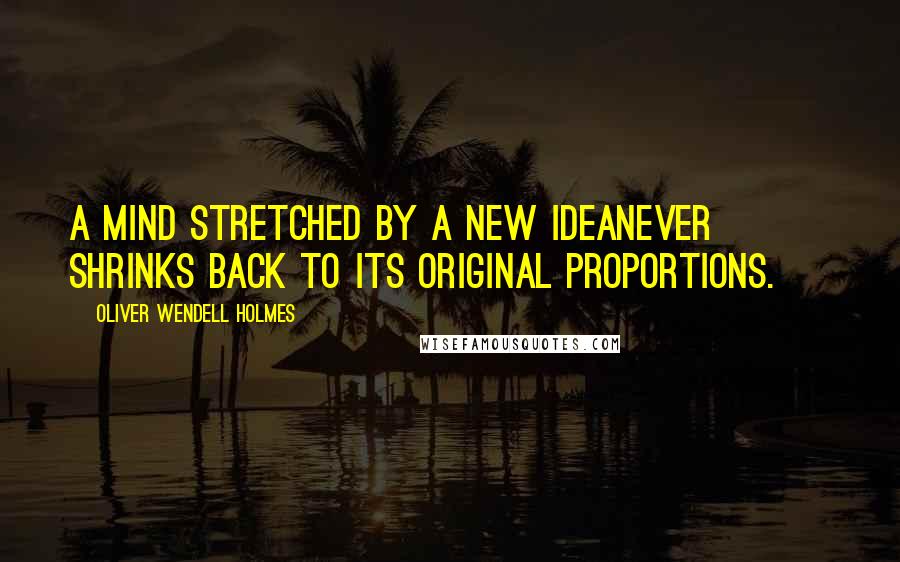 Oliver Wendell Holmes quotes: A mind stretched by a new ideanever shrinks back to its original proportions. ~