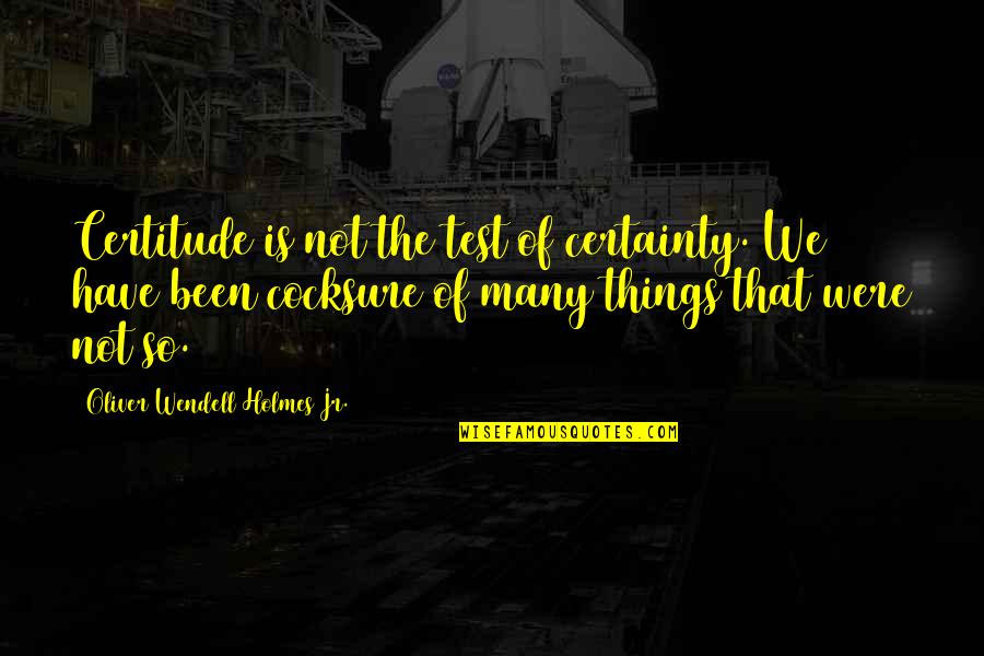 Oliver Wendell Holmes Quotes By Oliver Wendell Holmes Jr.: Certitude is not the test of certainty. We