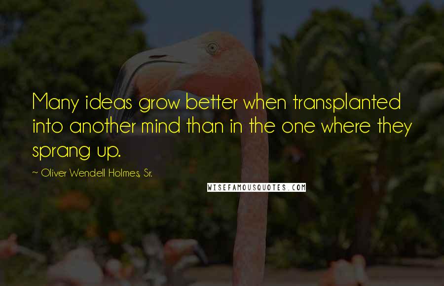 Oliver Wendell Holmes, Sr. quotes: Many ideas grow better when transplanted into another mind than in the one where they sprang up.