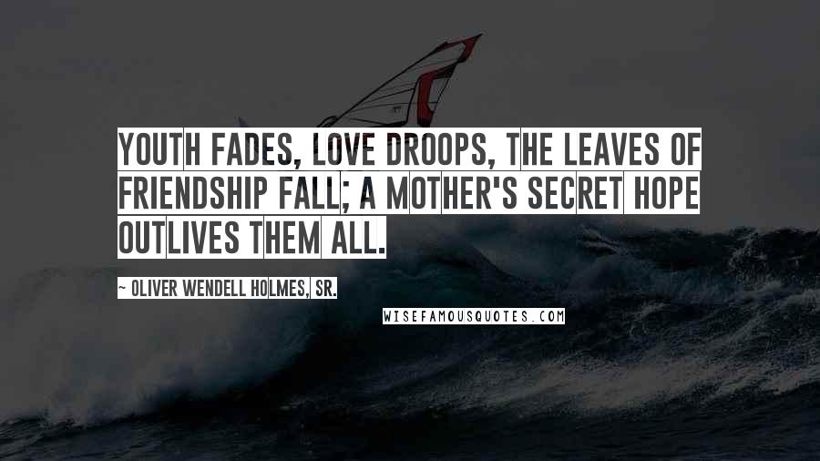 Oliver Wendell Holmes, Sr. quotes: Youth fades, love droops, the leaves of friendship fall; A mother's secret hope outlives them all.