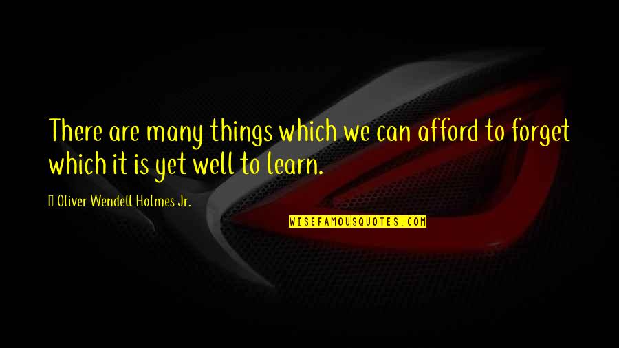 Oliver Wendell Quotes By Oliver Wendell Holmes Jr.: There are many things which we can afford