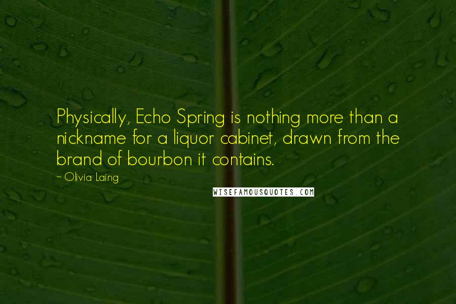 Olivia Laing quotes: Physically, Echo Spring is nothing more than a nickname for a liquor cabinet, drawn from the brand of bourbon it contains.