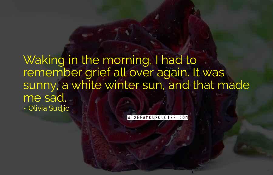 Olivia Sudjic quotes: Waking in the morning, I had to remember grief all over again. It was sunny, a white winter sun, and that made me sad.