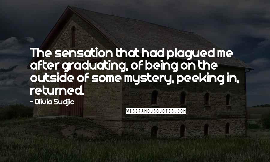 Olivia Sudjic quotes: The sensation that had plagued me after graduating, of being on the outside of some mystery, peeking in, returned.