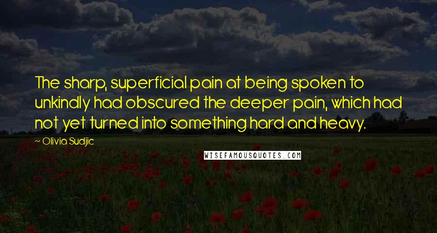 Olivia Sudjic quotes: The sharp, superficial pain at being spoken to unkindly had obscured the deeper pain, which had not yet turned into something hard and heavy.