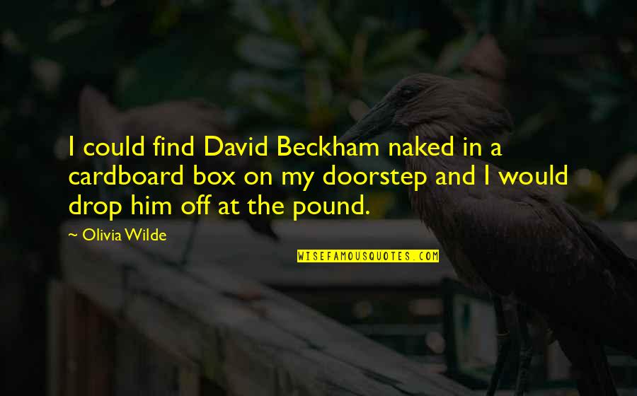 Olivia Wilde Quotes By Olivia Wilde: I could find David Beckham naked in a