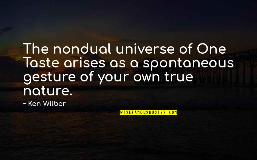 Olkeniki Quotes By Ken Wilber: The nondual universe of One Taste arises as