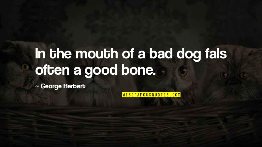 Ollero Quotes By George Herbert: In the mouth of a bad dog fals
