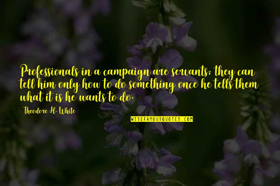 Olmayacak Quotes By Theodore H. White: Professionals in a campaign are servants; they can Olmayacak Quotes By Theodore H. White: Professionals in a campaign are servants; they can