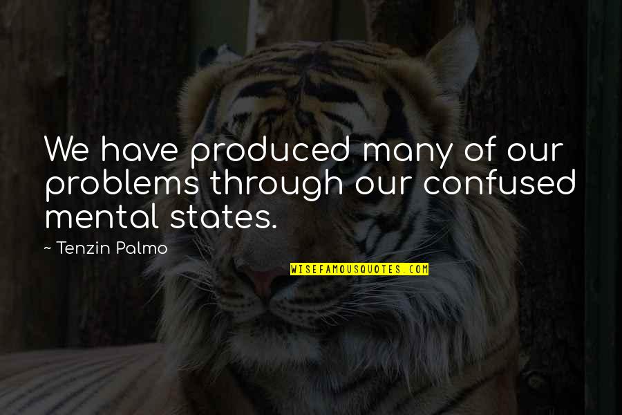 Olongapo Scandal Quotes By Tenzin Palmo: We have produced many of our problems through Olongapo Scandal Quotes By Tenzin Palmo: We have produced many of our problems through