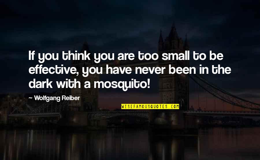 Olsalazine Quotes By Wolfgang Reiber: If you think you are too small to
