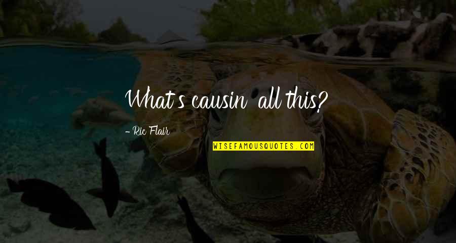 Oltremare Di Quotes By Ric Flair: What's causin' all this?