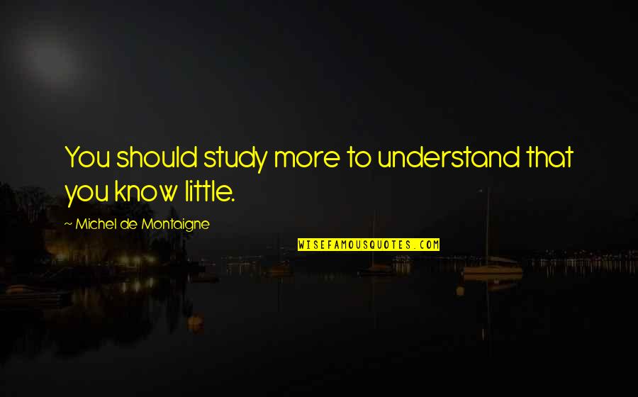 Olvidarla Translation Quotes By Michel De Montaigne: You should study more to understand that you