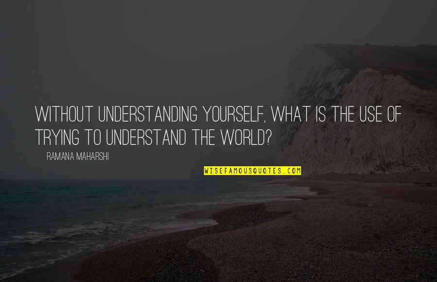 Olympic Rower Quotes By Ramana Maharshi: Without understanding yourself, what is the use of