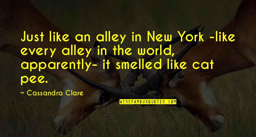 O'malley The Alley Cat Quotes By Cassandra Clare: Just like an alley in New York -like O'malley The Alley Cat Quotes By Cassandra Clare: Just like an alley in New York -like