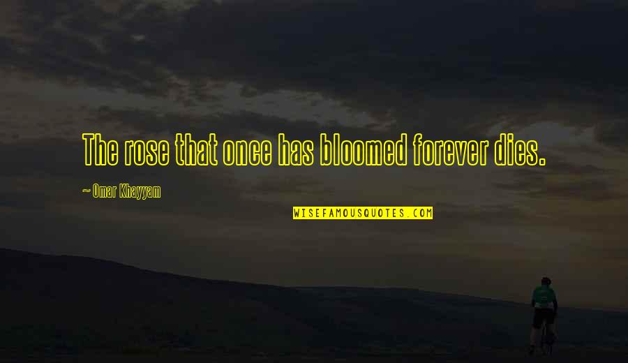 Omar Khayyam Quotes By Omar Khayyam: The rose that once has bloomed forever dies.