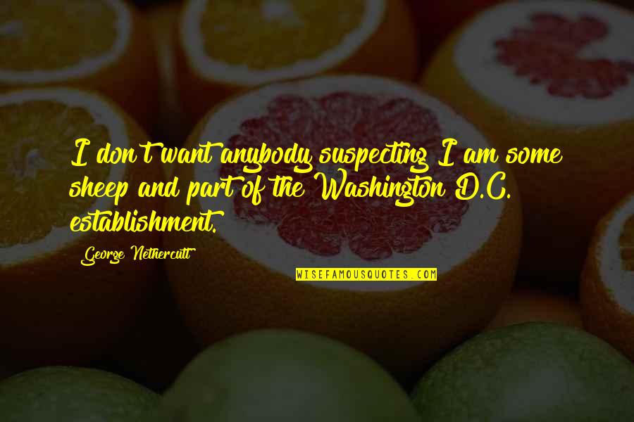 Omelets Quotes By George Nethercutt: I don't want anybody suspecting I am some