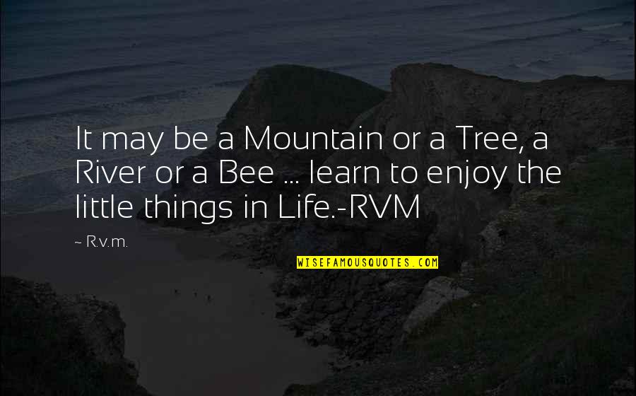 Omghee Quotes By R.v.m.: It may be a Mountain or a Tree,