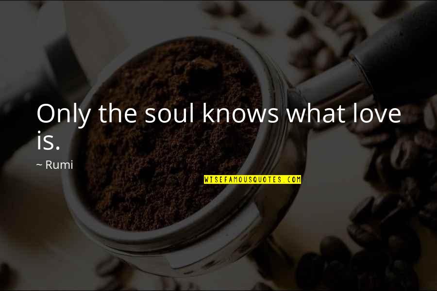 Omori Wiki Quotes By Rumi: Only the soul knows what love is.
