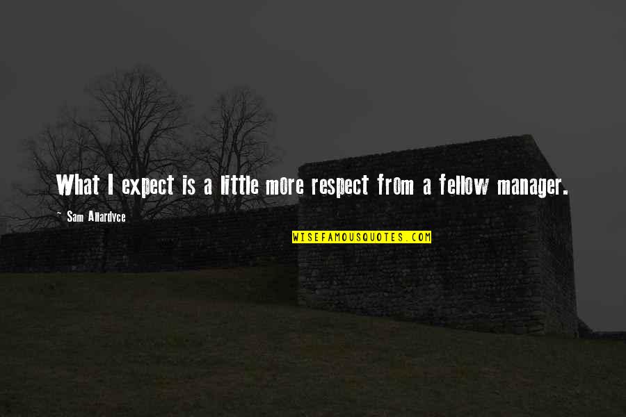 Omotola Jalade Quotes By Sam Allardyce: What I expect is a little more respect Omotola Jalade Quotes By Sam Allardyce: What I expect is a little more respect